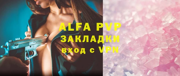 мяу мяу мука Горно-Алтайск