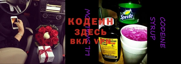 амф Горняк