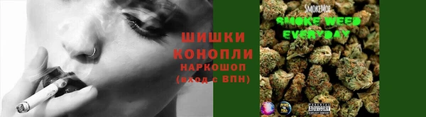 мяу мяу мука Горно-Алтайск