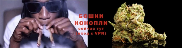 амф Горняк