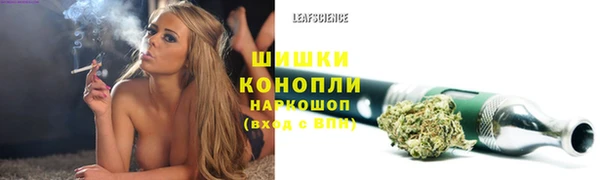 амф Горняк