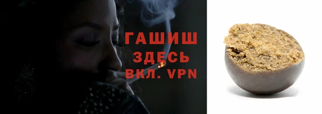 мяу мяу мука Горно-Алтайск