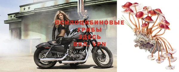 амф Горняк