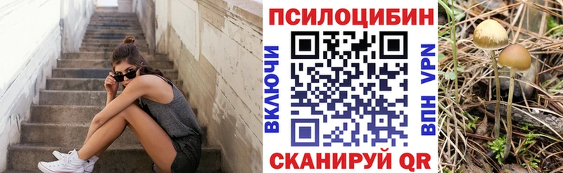 где купить наркоту Меленки Галлюциногенные грибы MAGIC MUSHROOMS